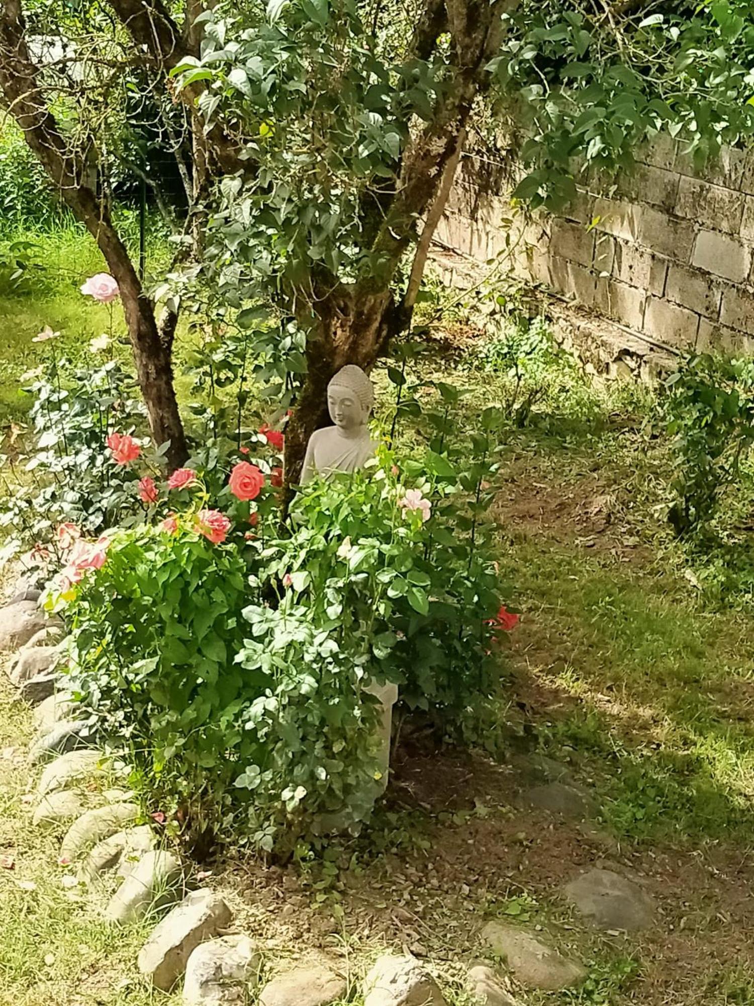 Le Relais De Boralde Hotel Espalion Bagian luar foto